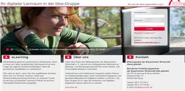 Frau auf einer Website 