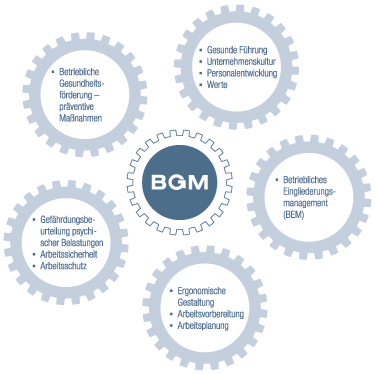 Darstellung Aufbau Betriebliches Gesundheitsmanagement im Unternehmen Ein Diagramm mit den verschiedenen Punkten, die für Betriebliches Gesundheitsmanagement wichtig sind